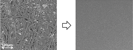 図2：バリア紙表面の走査型電子顕微鏡写真