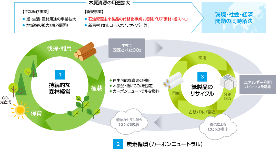 紙化ソリューション 日本製紙