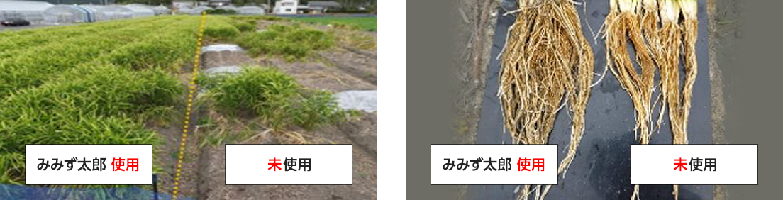 微生物資材「みみず太郎100」